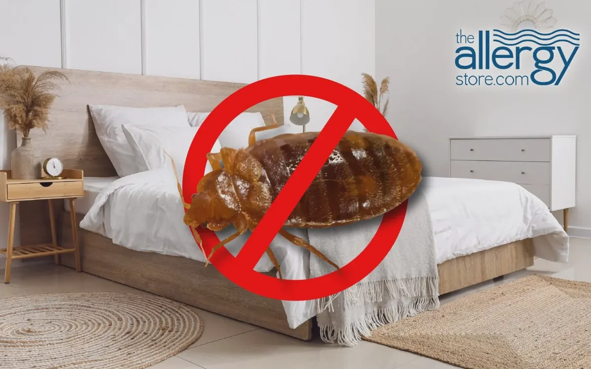 Encasement and inspection routine to keep an air mattress free of bed bugs