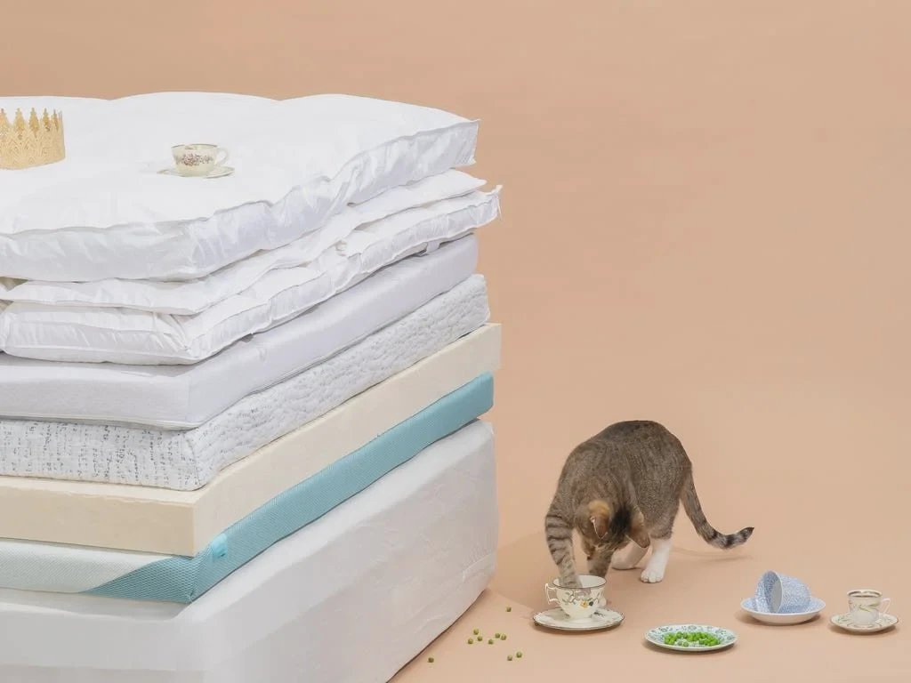 Mattress toppers tested for back pain