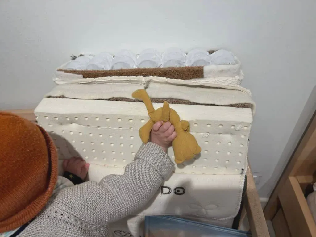 Cutaway view of Avocado organic mattress materials including latex, wool, and coils